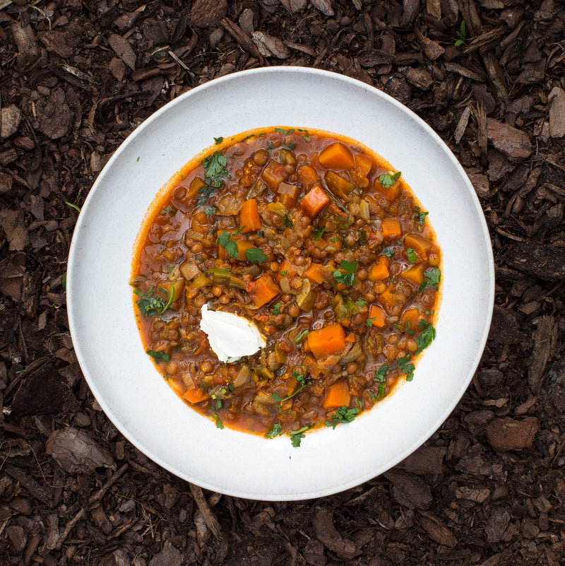 RECIPE: LENTILS STEW WITH SALSA PICANTE
